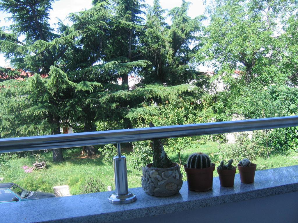 Apartment Cvjetna Rijeka Kamer foto