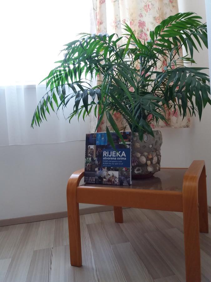 Apartment Cvjetna Rijeka Buitenkant foto
